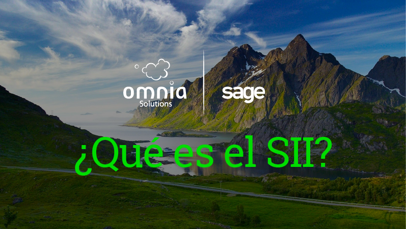 �Qu� es el SII?